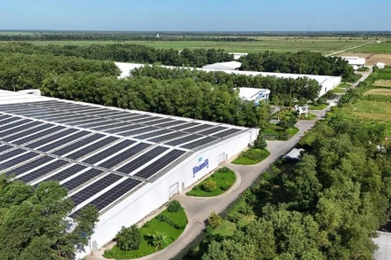 Năng lượng mặt trời đã phủ các nhà máy, trang trại của Vinamilk, cùng với các năng lượng xanh như Biomass, CNG, Biogas với tỷ lệ sử dụng ngày càng tăng