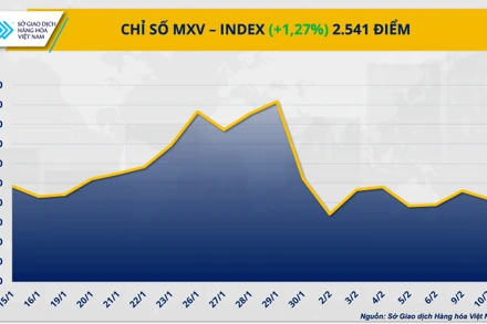 Chỉ số XV-Index tăng 1,3% lên 2.541 điểm.