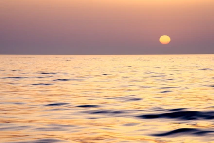 [Thơ] Gặp giữa đời thường