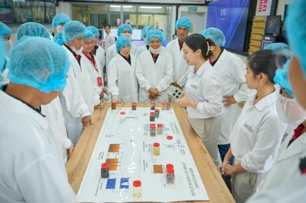 Các nông dân tiêu biểu của chương trình NESCAFÉ Plan được tham quan quy trình sản xuất và tìm hiểu các loại hạt cà-phê xuất khẩu của nhà máy Nestlé Trị An.