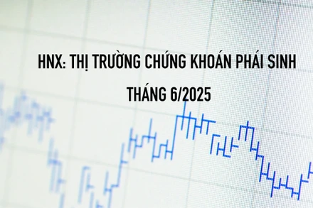 Thị trường chứng khoán phái sinh trên HNX tháng 6/2025: Khối lượng giao dịch giảm 6,88%