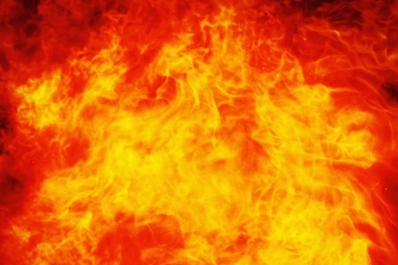 (Ảnh minh họa: TTXVN)