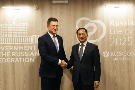 Phó Thủ tướng Bùi Thanh Sơn gặp làm việc với Phó Thủ tướng Aleksandr Novak.