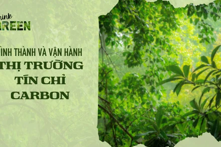 Hình thành và vận hành thị trường tín chỉ carbon