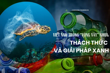 Việt Nam trong “vòng vây” nhựa: Thách thức và giải pháp xanh