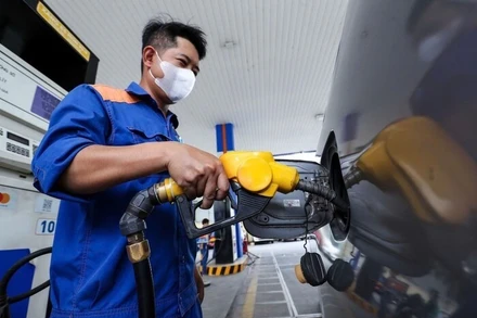 Ảnh minh họa. Nguồn: Moit.gov.vn