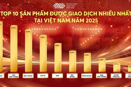 TOP 10 sản phẩm được giao dịch nhiều nhất tại Việt Nam năm 2025