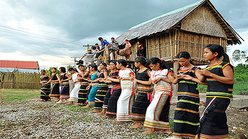 Người Rơ Măm ở làng Le, xã Mô Rai, huyện Sa Thầy rộn ràng tổ chức Lễ mừng lúa mới. (Ảnh: Báo Kon Tum)