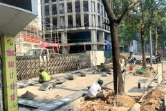 Hà Nội tạm dừng đào đường, hè một số tuyến chính. (Ảnh: TUẤN LƯƠNG)