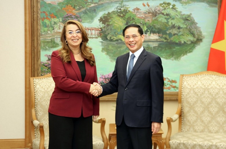 Viceprim-ministrul Bui Thanh Son a primit-o pe dna Ghada Waly. (Foto: VGP/Hai Minh) ts.jpg