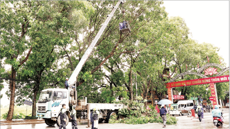 Nhân viên Khu du lịch Tam Cốc-Bích Động chặt tỉa cành cây trước bão. (Ảnh TTXVN ) anh-man-hinh-2025-07-22-luc-052348-9624.png
