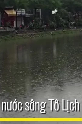 Mưa lớn khiến nước sông Tô Lịch dâng cao