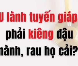 [Video] U lành tuyến giáp có phải kiêng các loại đậu nành, các rau họ cải?