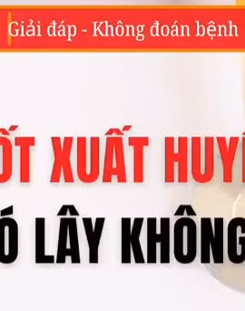 [Video] Sốt xuất huyết có lây từ người sang người?