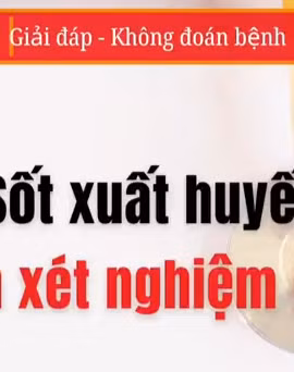 [Video] Cần xét nghiệm gì để phát hiện sốt xuất huyết?