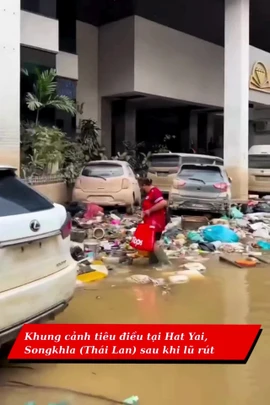 Khung cảnh tiêu điều tại Songkhla (Thái Lan) sau khi lũ rút