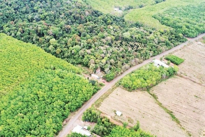 Tuyến đường ĐT753 gần cầu Mã Đà, tỉnh Đồng Nai.