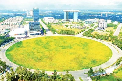 Một góc phường Bình Dương, Thành phố Hồ Chí Minh.