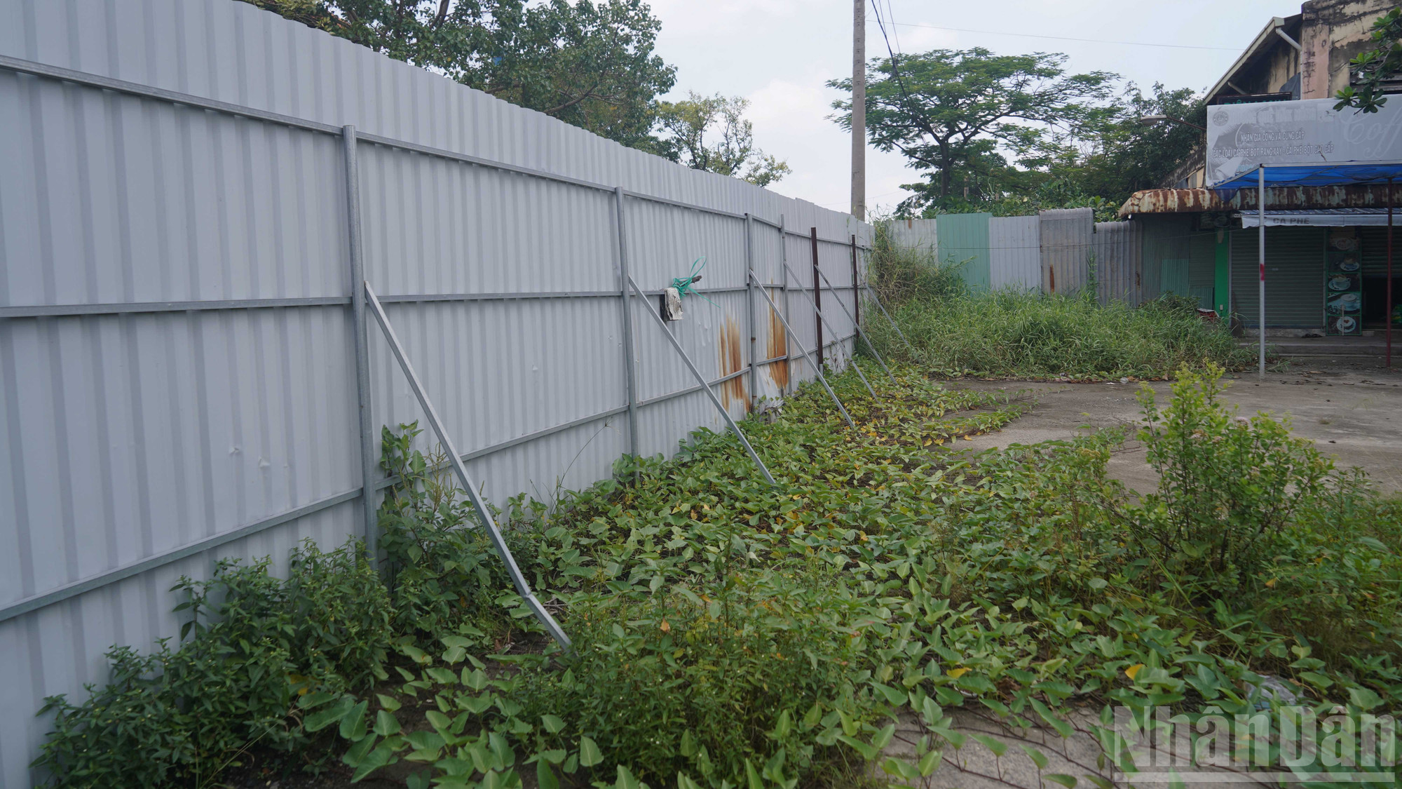 Hiện bên trong chợ rơi vào tình trạng bỏ hoang . ndo_br_15.jpg