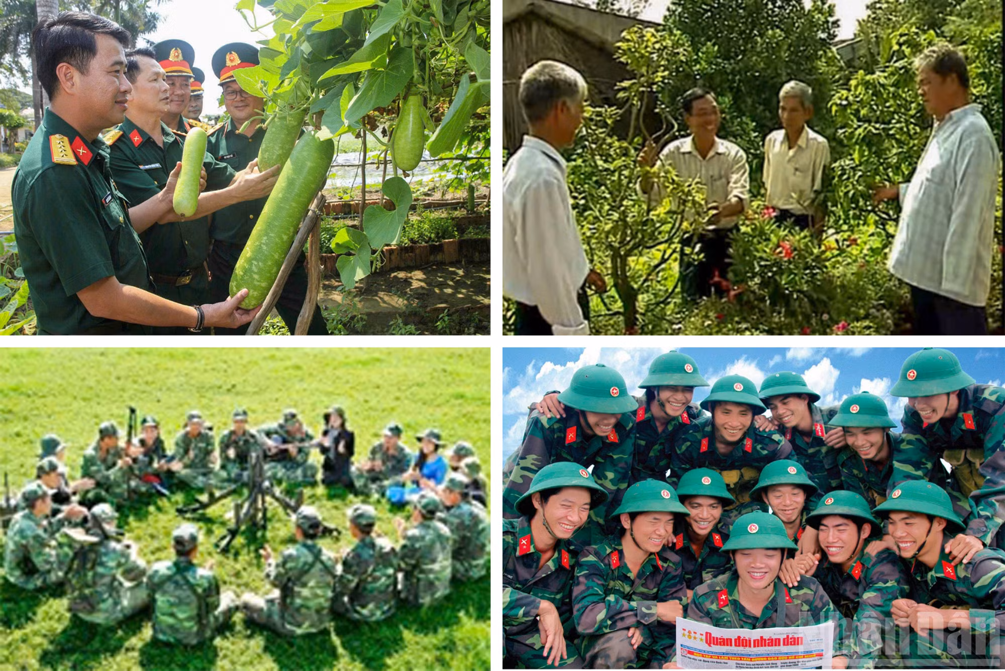ndo_br_kiem-tra-tang-gia-san-xuat-tai-tieu-doan-1-long-an.jpg