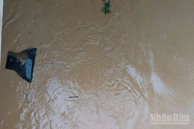 Nước lũ cuốn trôi ti-vi của người dân.