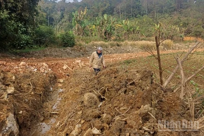 Sáng 9/1, tại hiện trường, phóng viên Báo Nhân Dân thấy vắng bóng nhân lực và thiết bị của đơn vị thi công.