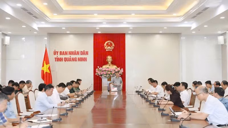 Tỉnh Quảng Ninh họp chỉ đạo công tác phòng, chống bão số 11.