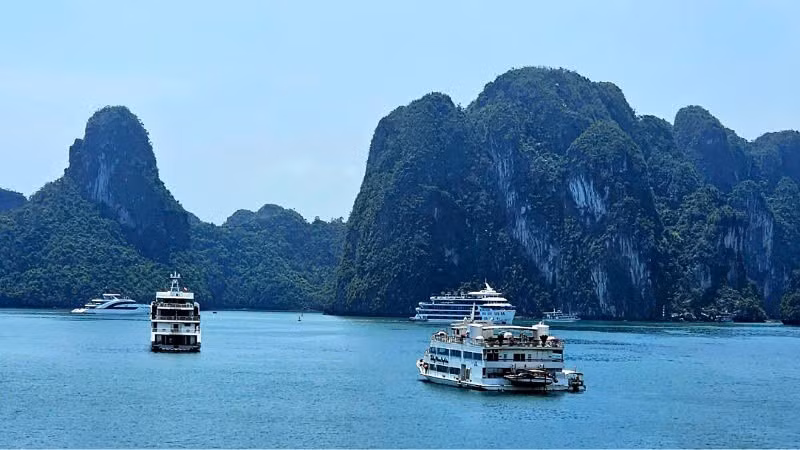 Tàu du lịch đưa khách tham quan Vịnh Hạ Long.