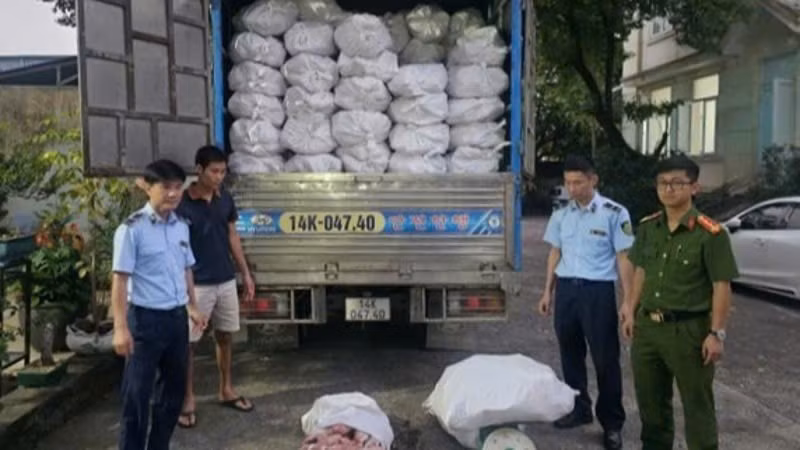 Lực lượng chức năng bắt giữ 12.240kg chân lợn đông lạnh không rõ nguồn gốc.
