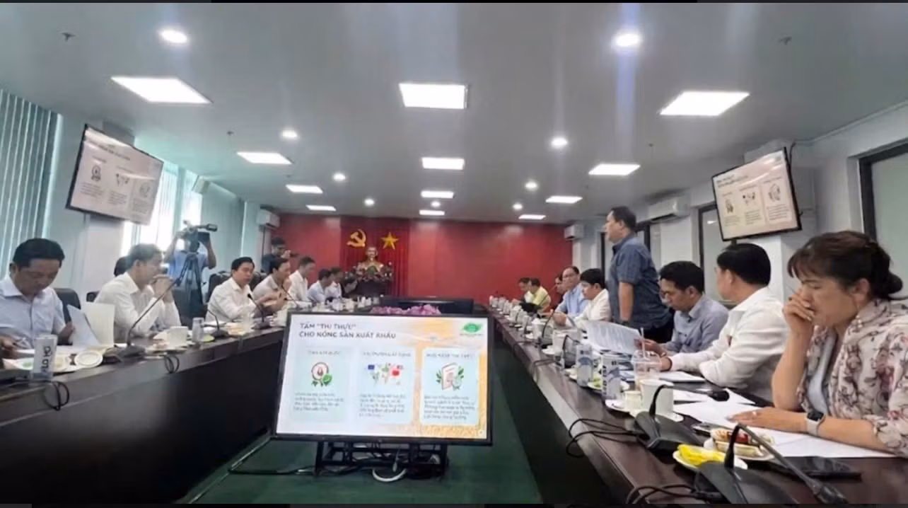 2-hoa-dao-tao1787708845774-2144425532258970042-5403002401184974723-3284b7e8c5d319832d9344cc245634b3.jpg