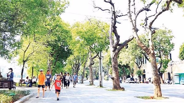 Hà Nội cần đầu tư thêm vỉa hè đủ tiêu chuẩn để người dân đi bộ an toàn, thuận lợi. (Ảnh VIẾT THÀNH)