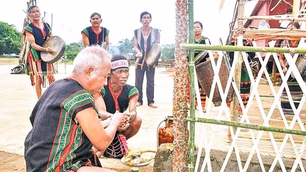 Chủ lễ thực hiện nghi thức tưới rượu cần lên cây Blang và các vật cúng tế trong Lễ Tăm Blang m’prang bon của người Mnông Pré, Nam Nung, Lâm Đồng.