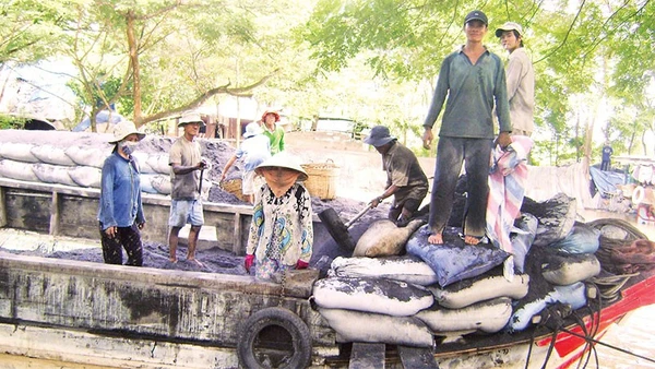 Chợ tro Trà Thôn giúp nhiều lao động vùng nông thôn có việc làm ổn định.