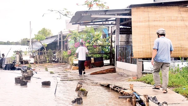 Lối vào khu dân cư khóm Sa Phô nằm dọc tuyến sông Cửa Lớn (thị trấn Năm Căn, huyện Năm Căn, tỉnh Cà Mau) bị sạt lở làm hư hỏng.