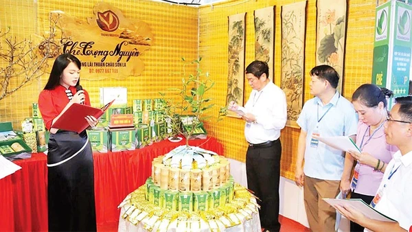 Hợp tác xã sản xuất, kinh doanh và dịch vụ tổng hợp Bình Thuận giới thiệu các sản phẩm chè tại Hội chợ xúc tiến thương mại. (Ảnh PHAN TRANG); 