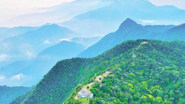 Bạch Mã hướng tới mô hình khu bảo tồn đa chức năng kiểu mẫu theo chuẩn mực quốc tế.