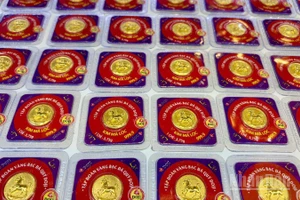 (Ảnh: NGỌC BÍCH)