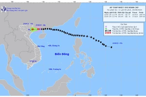 Bản đồ dự báo quỹ đạo và cường độ áp thấp nhiệt đới phát lúc 11 giờ ngày 25/9/2025. (Ảnh: Trung tâm Dự báo khí tượng thủy văn quốc gia)