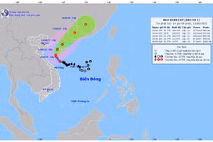 Bản đồ dự báo quỹ đạo và cường độ Bão số 1 lúc 14 giờ ngày 13/6. (Ảnh: Trung tâm Dự báo khí tượng thủy văn quốc gia)