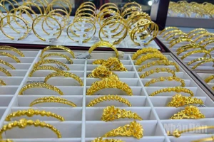 (Ảnh: NGỌC BÍCH)