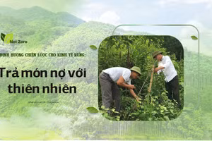 Bài 2: Trả món nợ với thiên nhiên