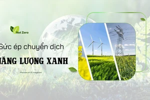 Sức ép chuyển dịch năng lượng xanh