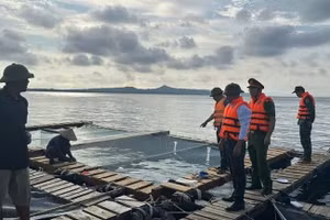 Lực lượng Công an và Bộ đội Biên phòng đặc khu Cô Tô (Quảng Ninh) hướng dẫn người dân gia cố lồng bè nuôi trồng trước khi bão số 9 đổ bộ. (Ảnh: QUANG THỌ)