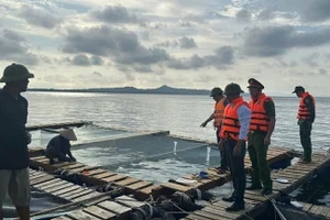 Lực lượng Công an và Bộ đội Biên phòng đặc khu Cô Tô (Quảng Ninh) hướng dẫn người dân gia cố lồng bè nuôi trồng trước khi bão số 9 đổ bộ. (Ảnh: QUANG THỌ)