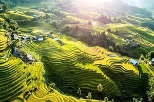 Sa Pa nổi tiếng với những thửa ruộng bậc thang tuyệt đẹp cùng các bản làng dân tộc đậm nét văn hóa đặc trưng. (Ảnh: Unsplash-Denis Sobnako)