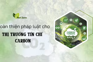 Hoàn thiện pháp luật cho thị trường tín chỉ carbon