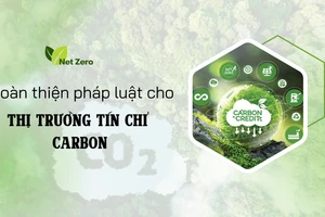 Hoàn thiện pháp luật cho thị trường tín chỉ carbon