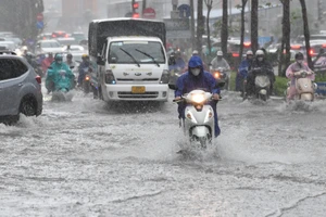 (Ảnh minh họa: THÀNH ĐẠT)