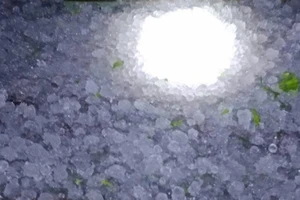 Mưa đá trên diện rộng tại xã Tùng Vài, tỉnh Tuyên Quang.