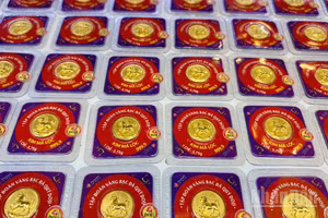 (Ảnh: NGỌC BÍCH)